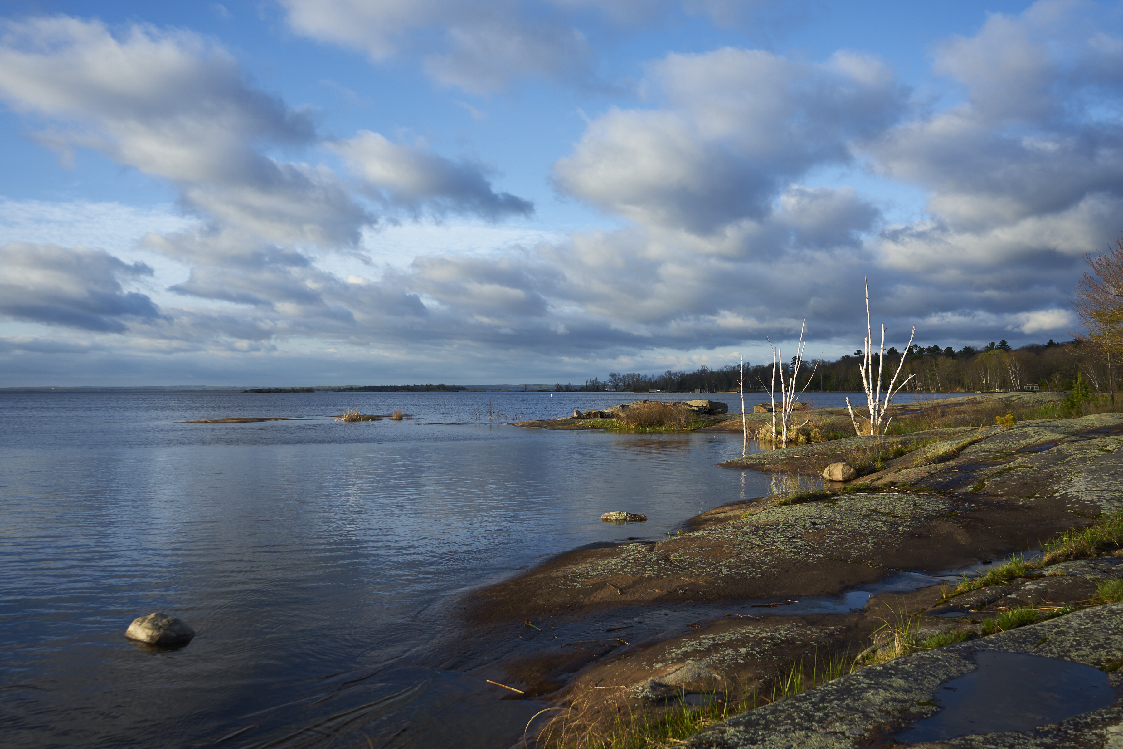 view of georgian bay from beausileil island in the morning