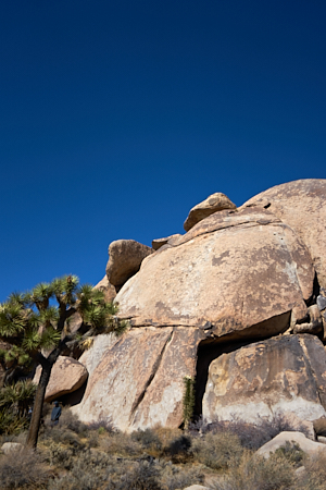 rocks and blue sky in joshua tree national park
