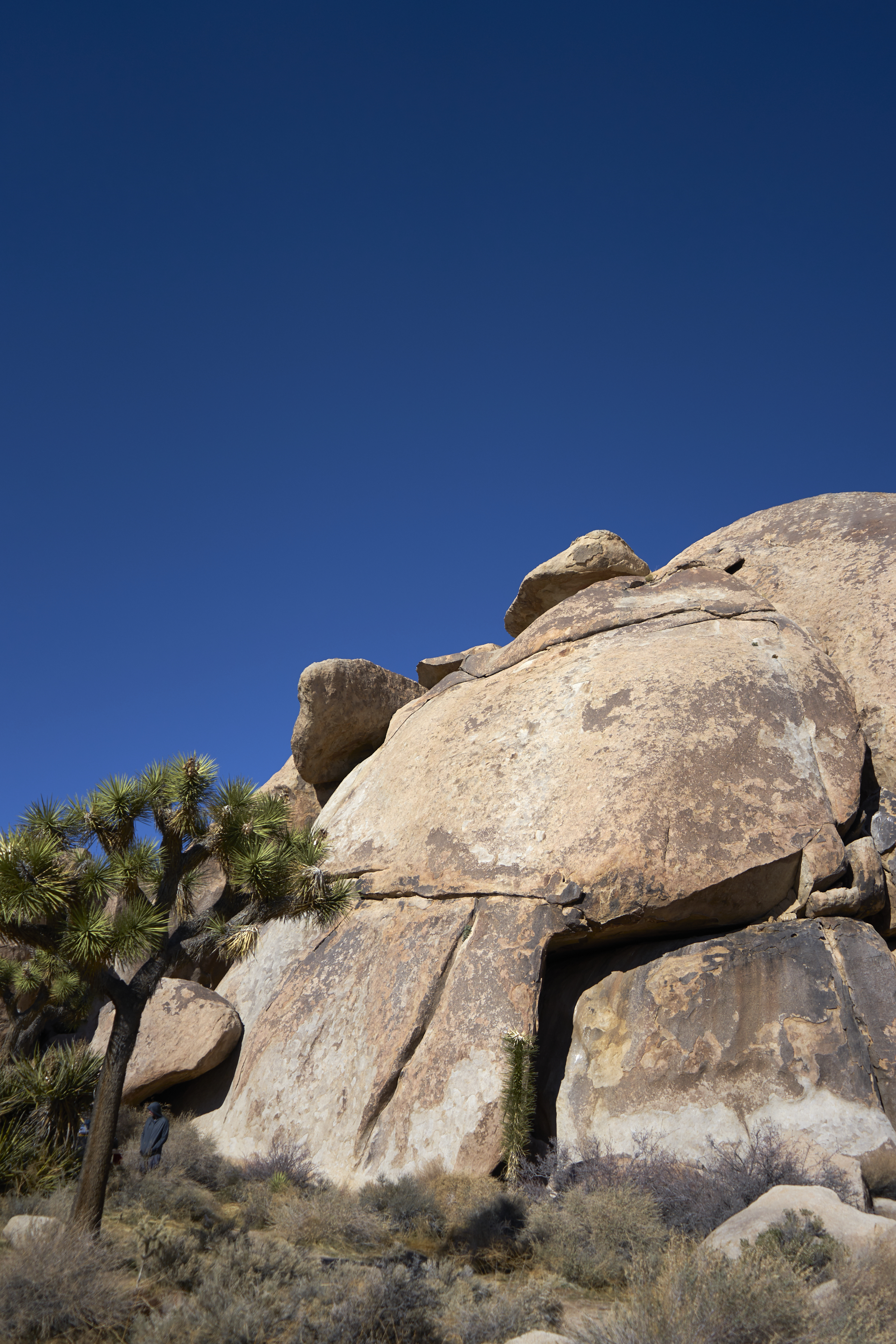 rocks and blue sky in joshua tree national park