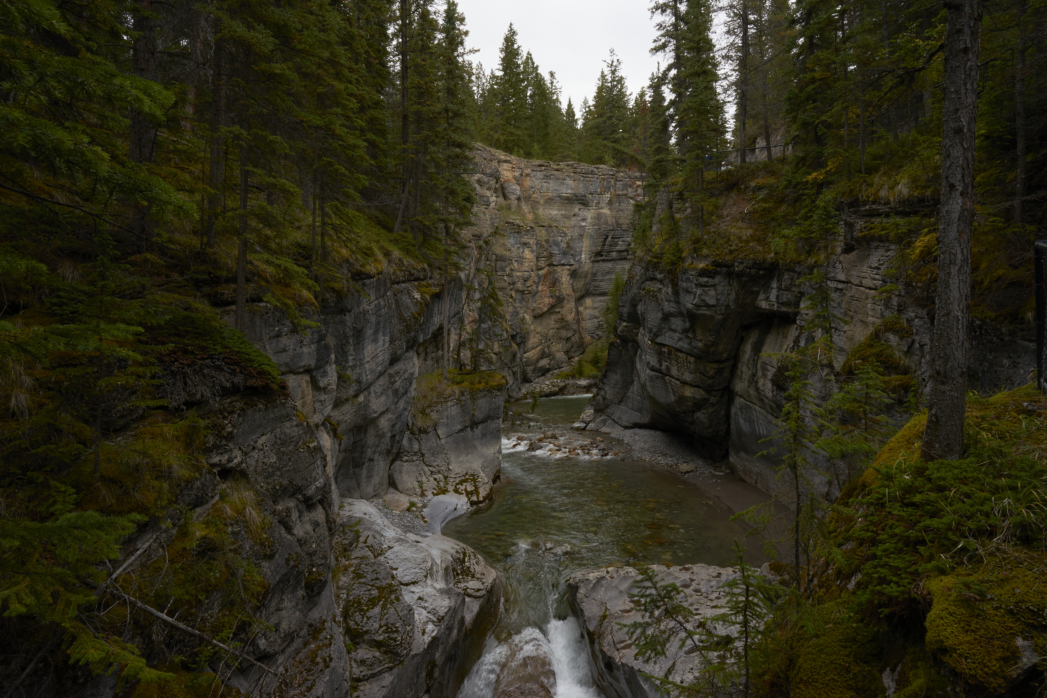 gloomy maligne canyon