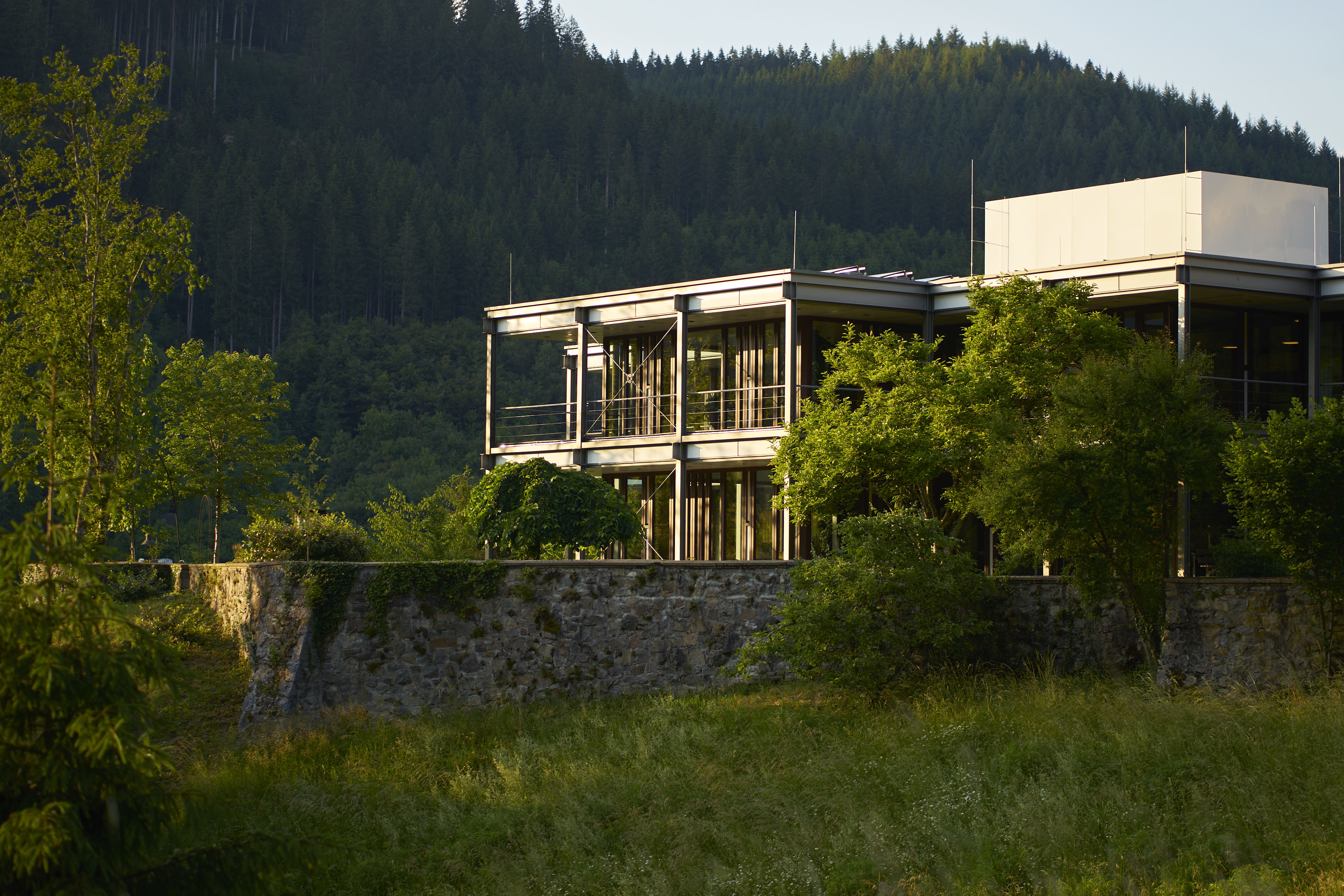 oberwolfach at sunsut