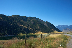okanagan trees and hills from the roadside