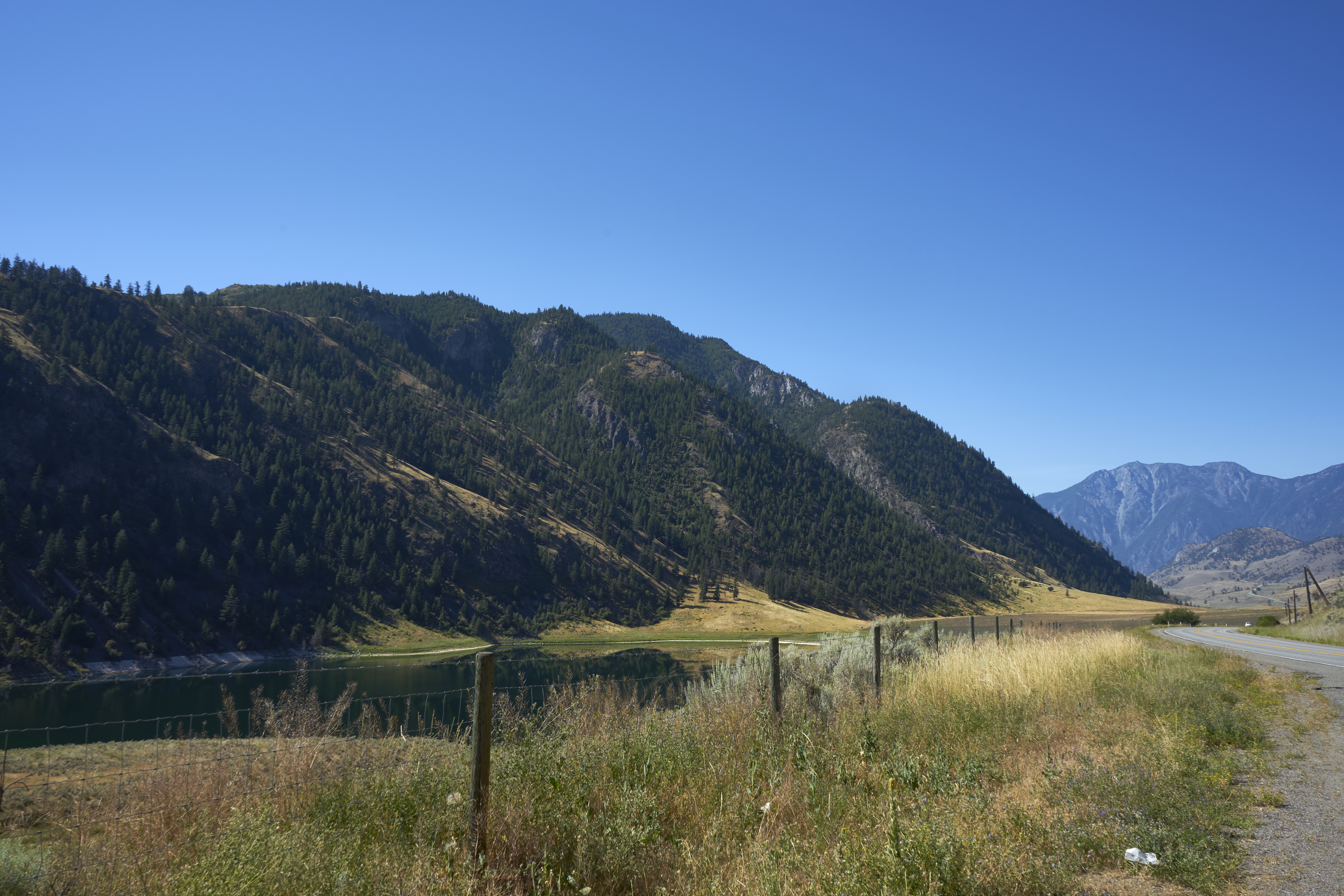 okanagan trees and hills from the roadside