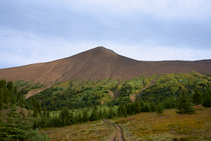 opal hills track and peak