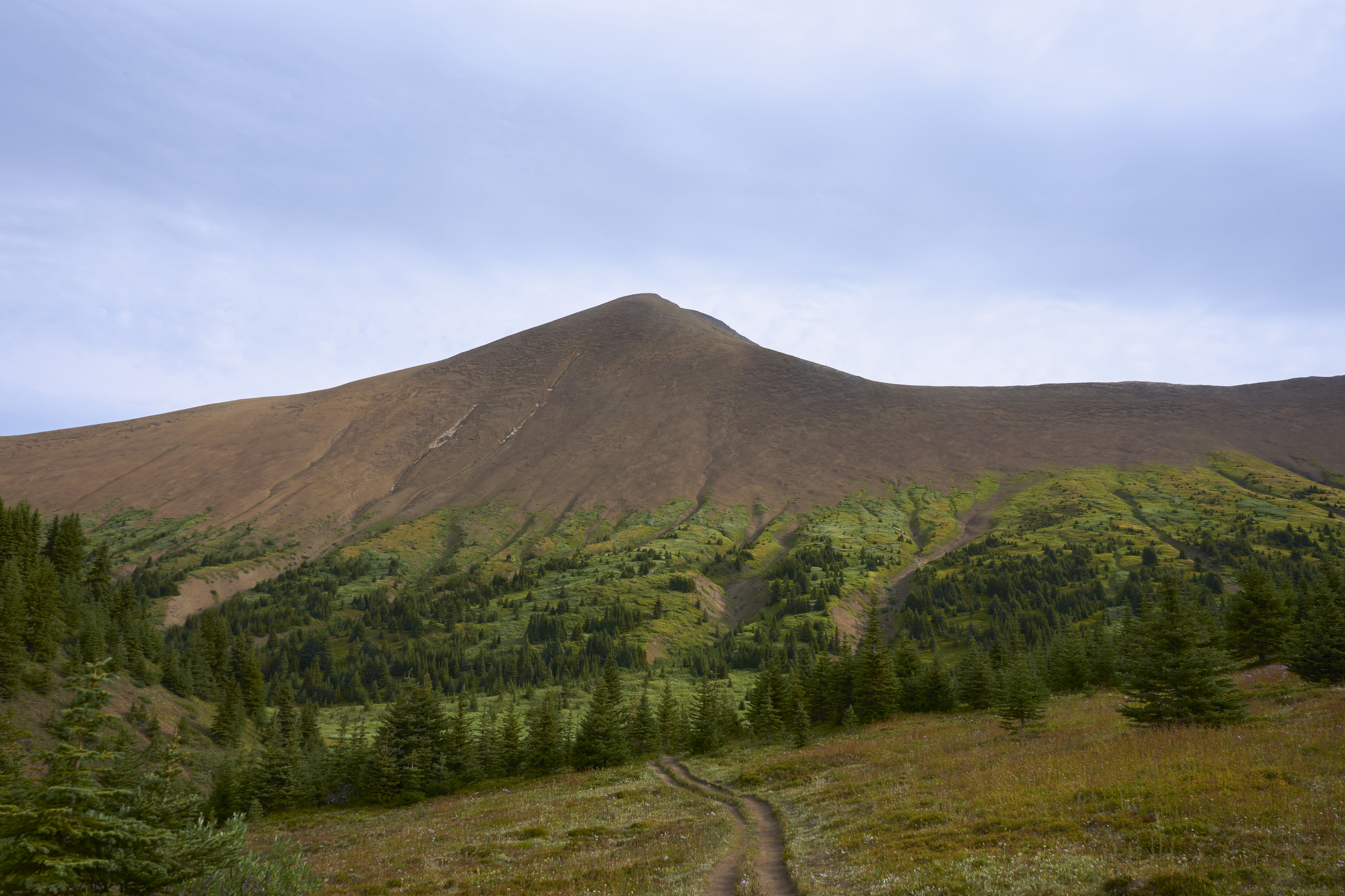 opal hills track and peak