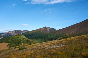 view over opal hills, near jasper