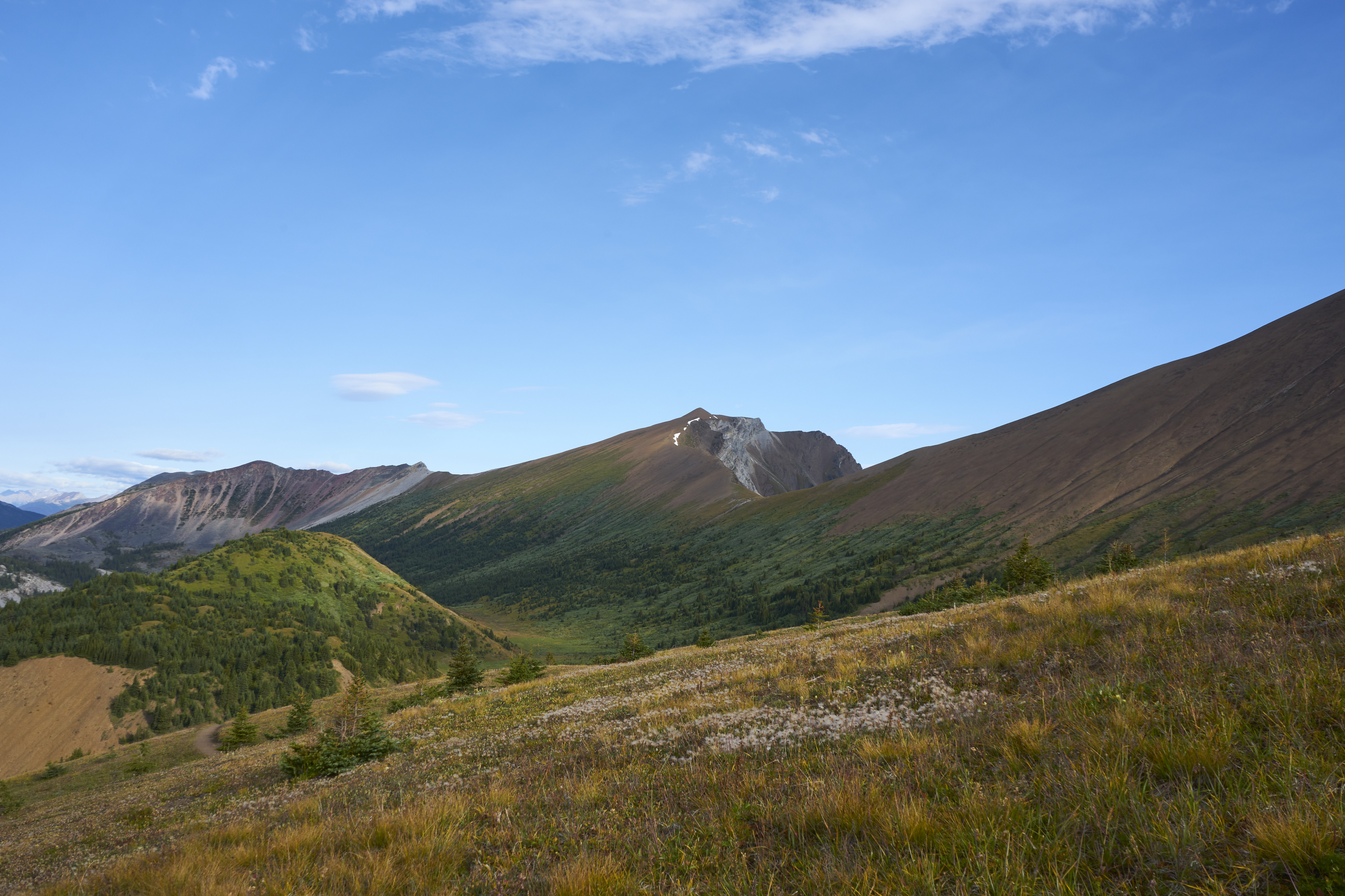 view over opal hills, near jasper