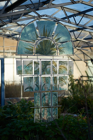 stained glass of palm tree in st andrews botanical garden