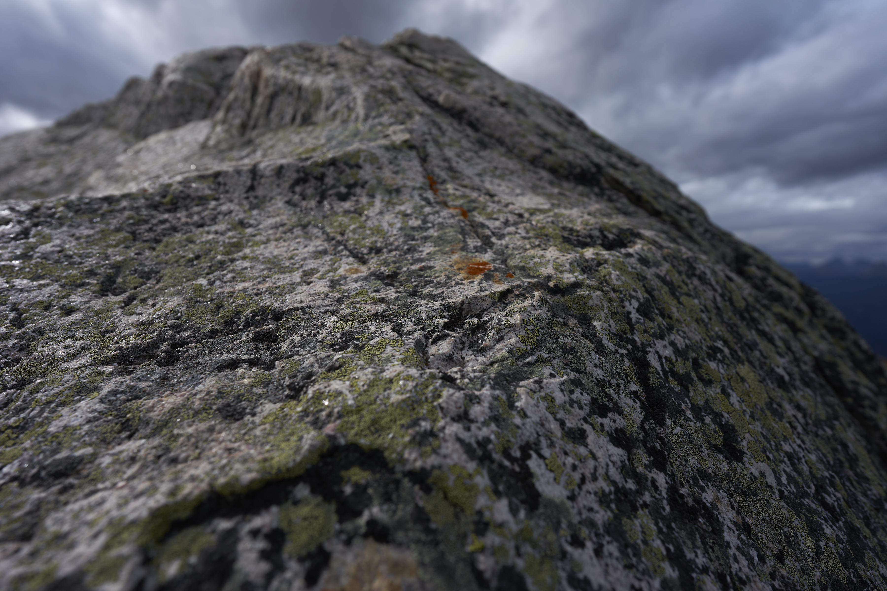 red moss macro on rock near whistler's peak