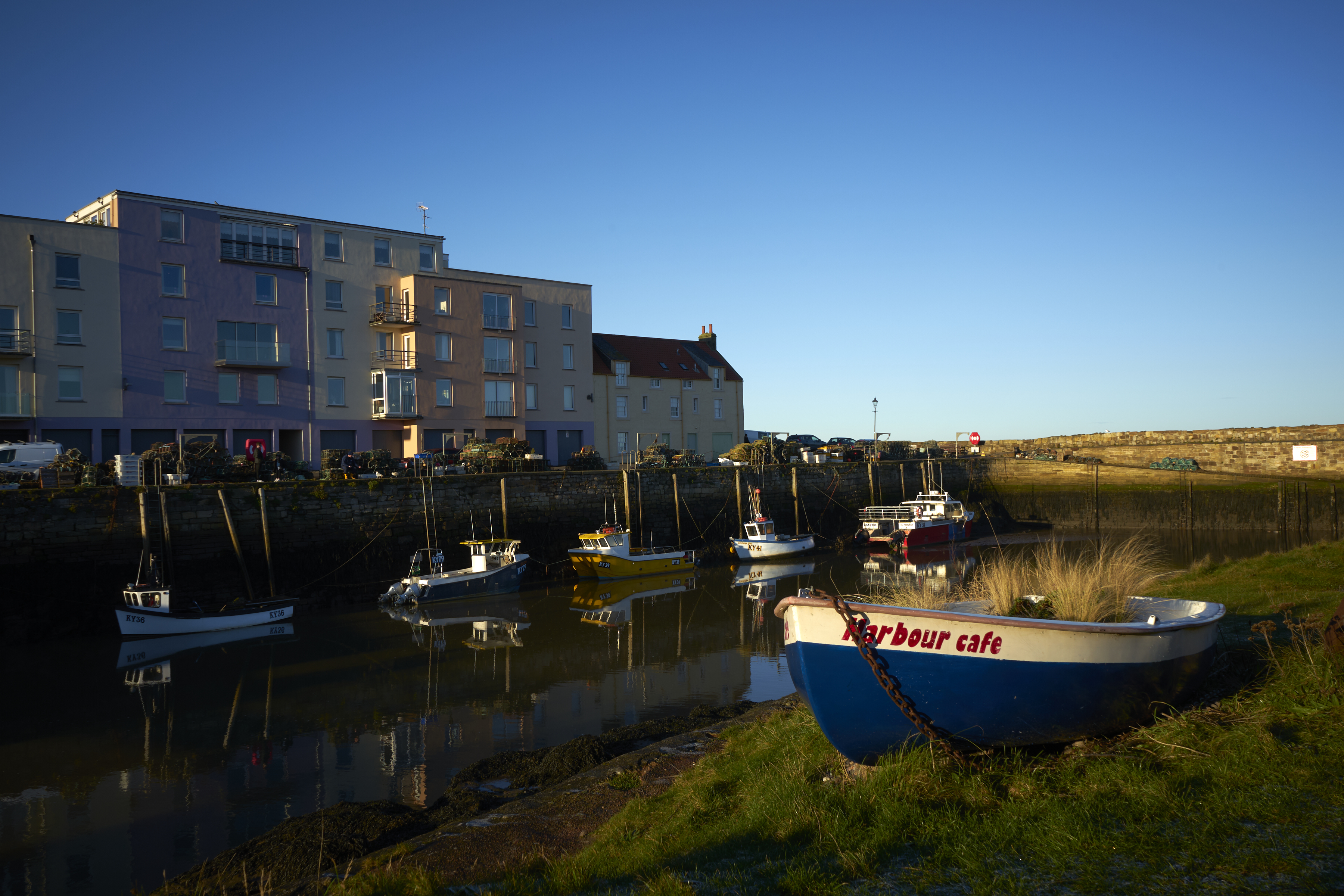 st andrews harbour view at low tide